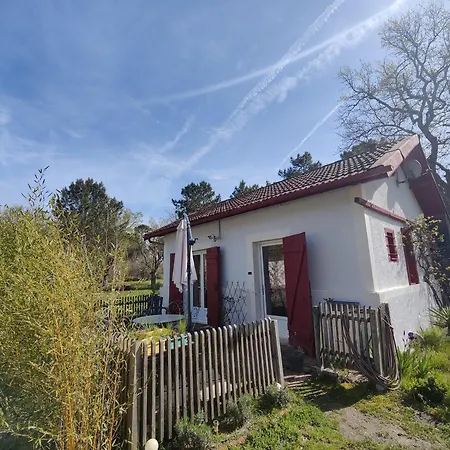 D&d, La Maison Des Ecureuils * Lesperon (Landes)